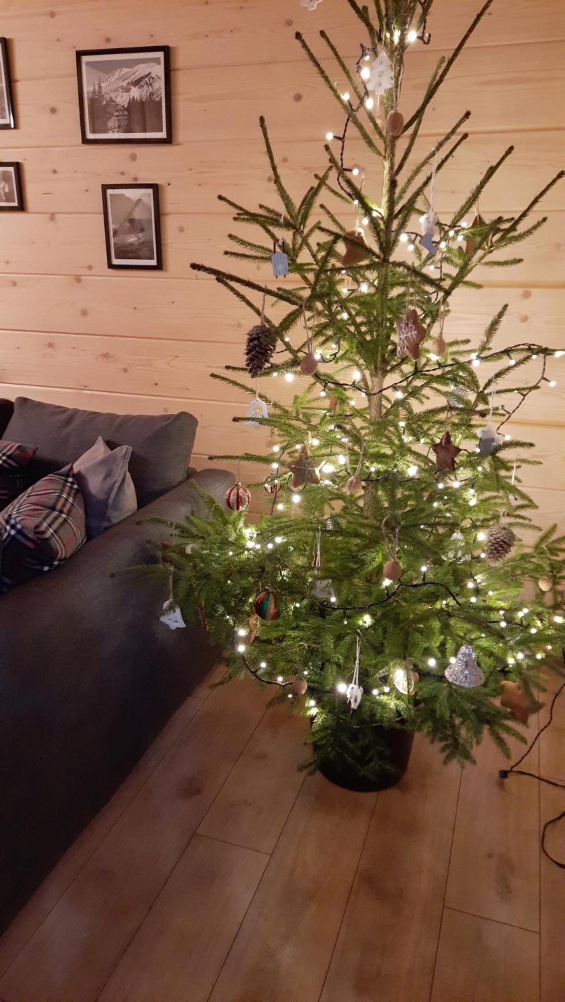 Góralska Chata przy Dolinie Chochołowskiej Witów Exterior foto