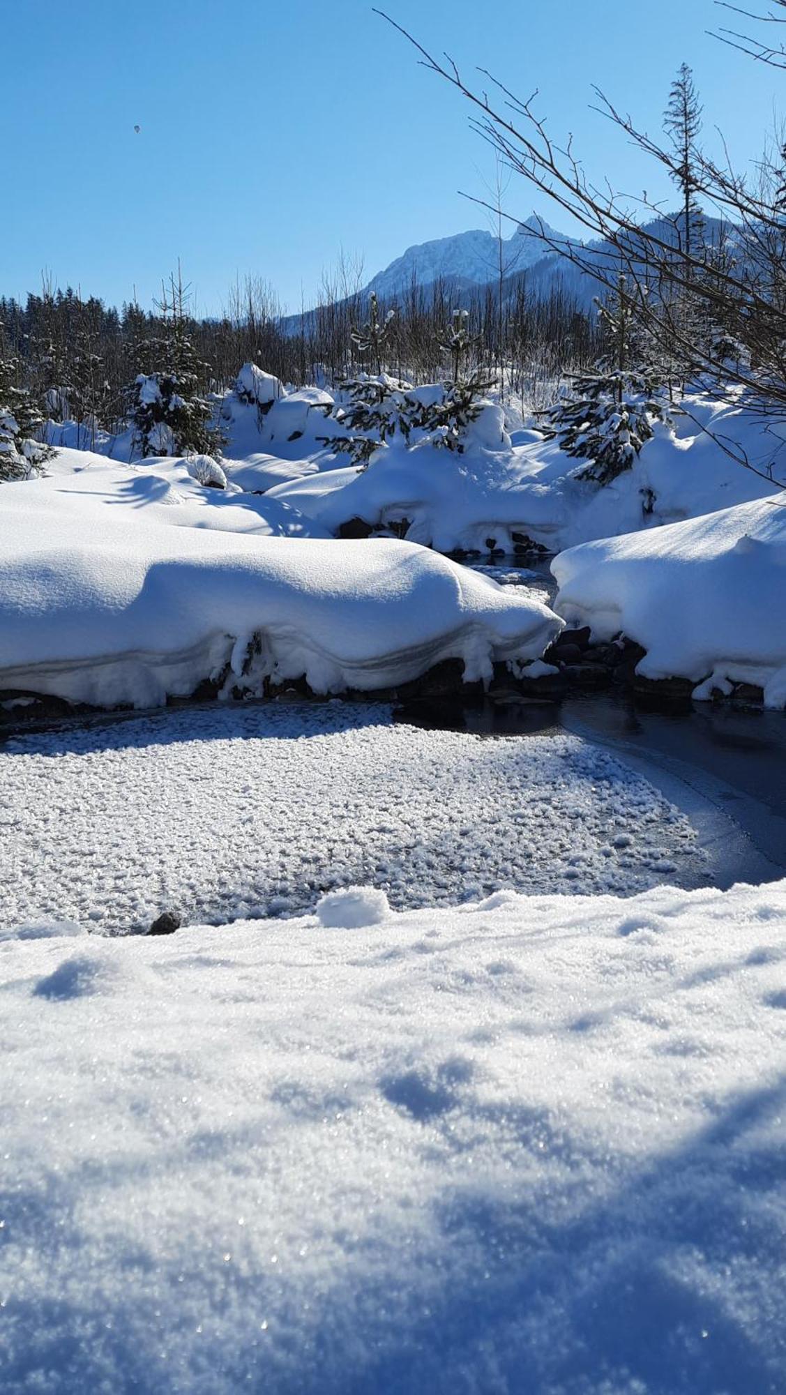 Góralska Chata przy Dolinie Chochołowskiej Witów Exterior foto