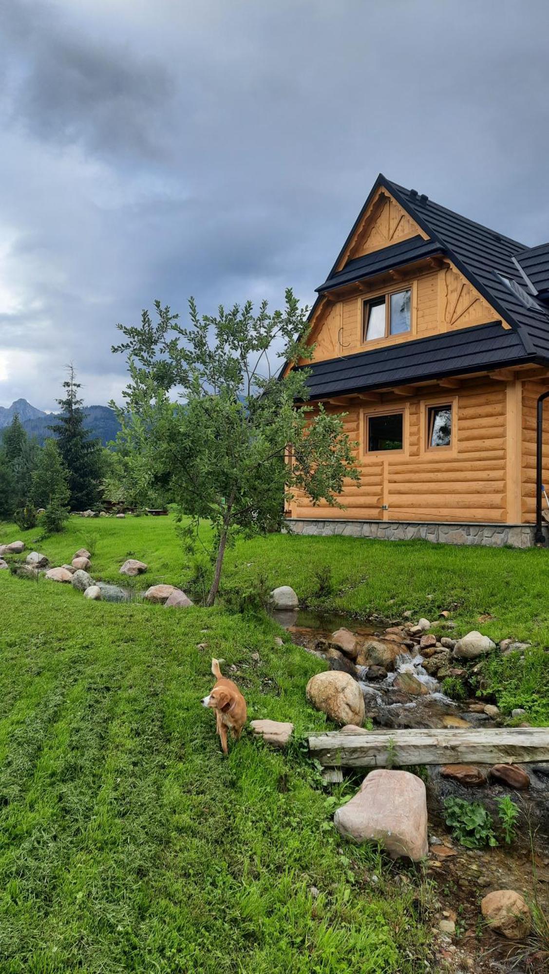 Góralska Chata przy Dolinie Chochołowskiej Witów Exterior foto